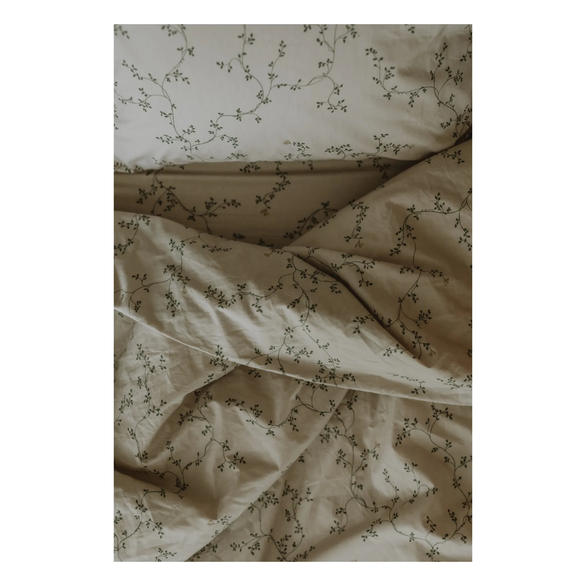 Drap-housse Botany en percale de coton | Vert- Image produit n°2
