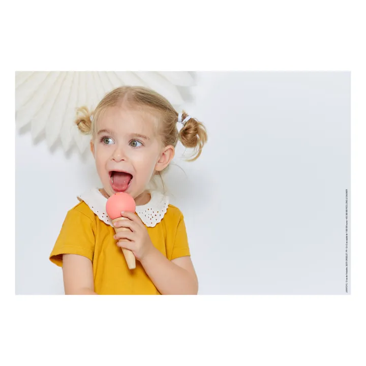 Stand de glaces- Image produit n°2