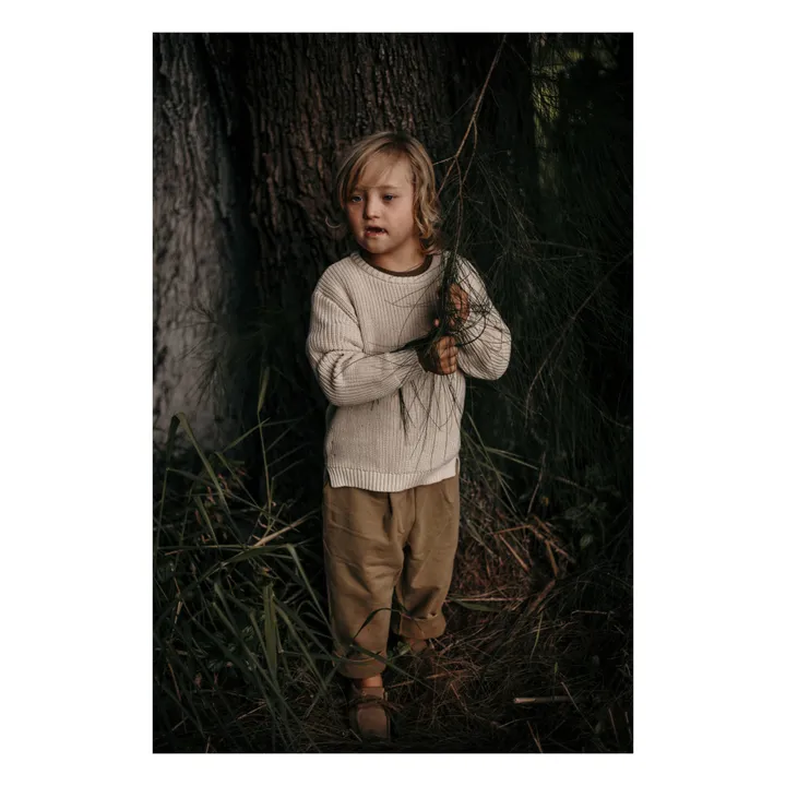 Pull Col Rond Coton Bio | Beige- Image produit n°3