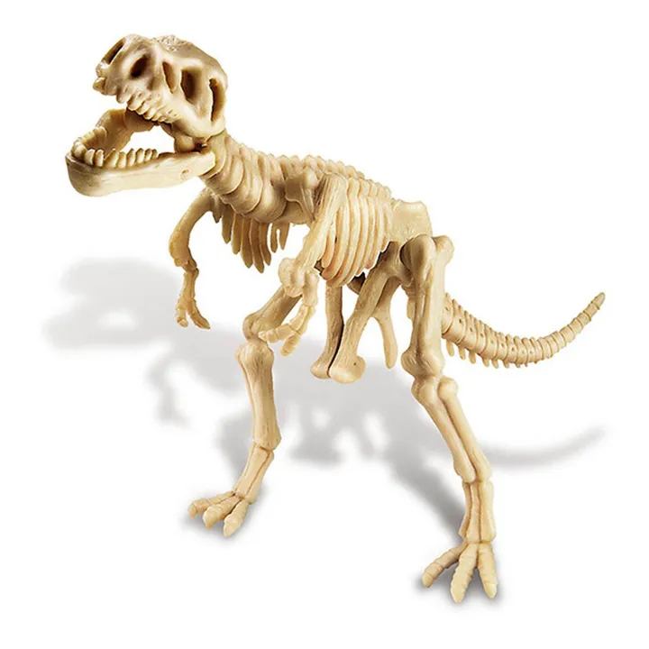 Set von Dinosaurier Ausgrabung  -T-Rex- Produktbild Nr. 2