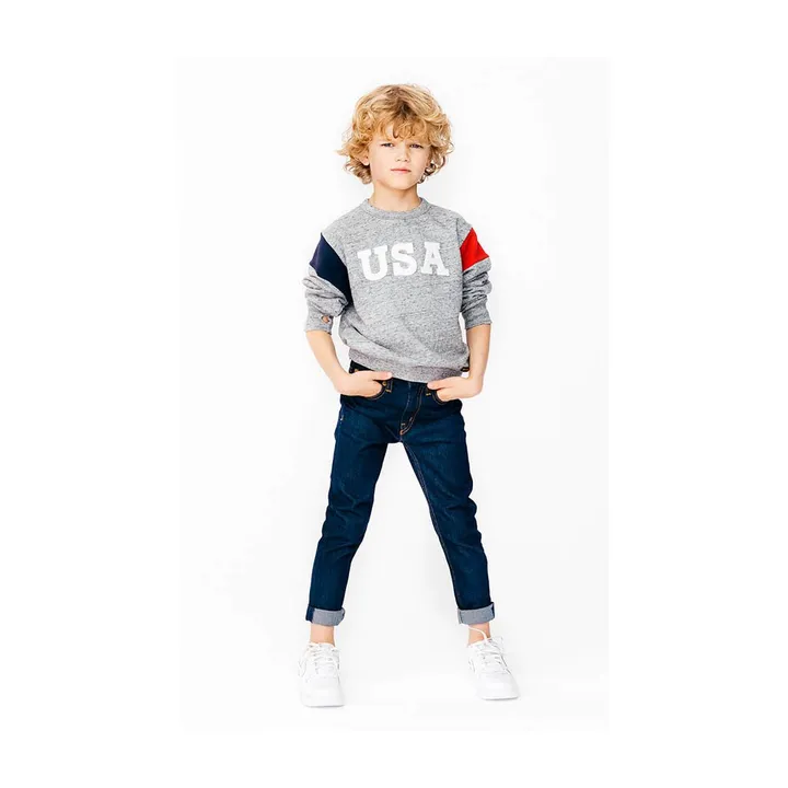 Sweatshirt "USA" Brian | Grau Meliert- Produktbild Nr. 1