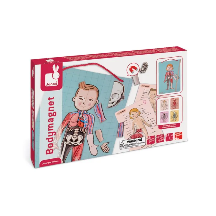 Magnetic Anatomy Puzzle- Product image n°5
