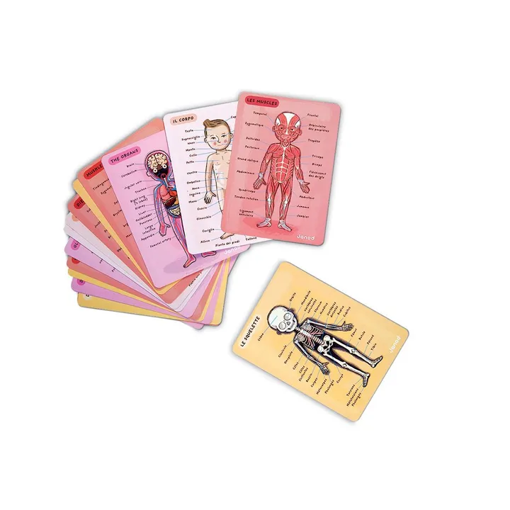 Magnetic Anatomy Puzzle- Product image n°4