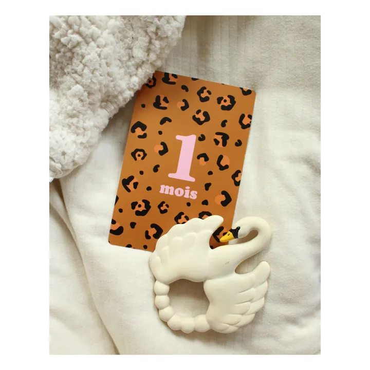 Mis tarjetas de los 12 primeros meses- Imagen del producto n°2
