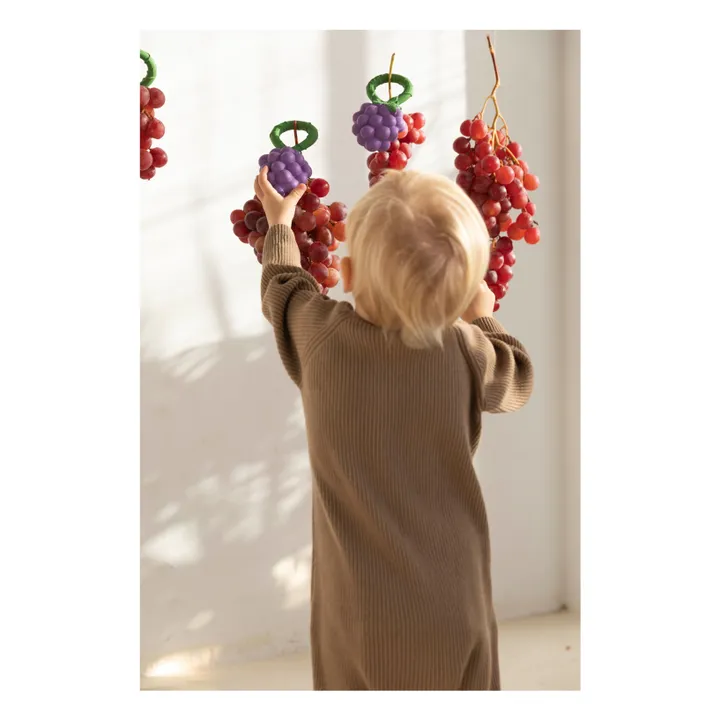 Hochet Grappe de raisin- Image produit n°6