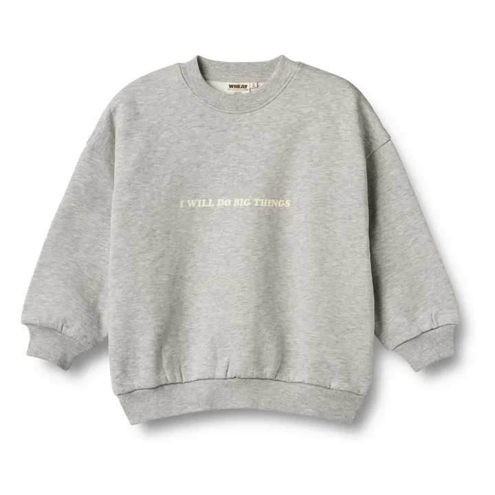 Wheat x Pernille Teisbæk collaboration - Sweat Allo Coton Bio | Heather grey- Product image n°0