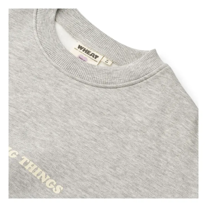 Wheat x Pernille Teisbæk collaboration - Sweat Allo Coton Bio | Heather grey- Product image n°2
