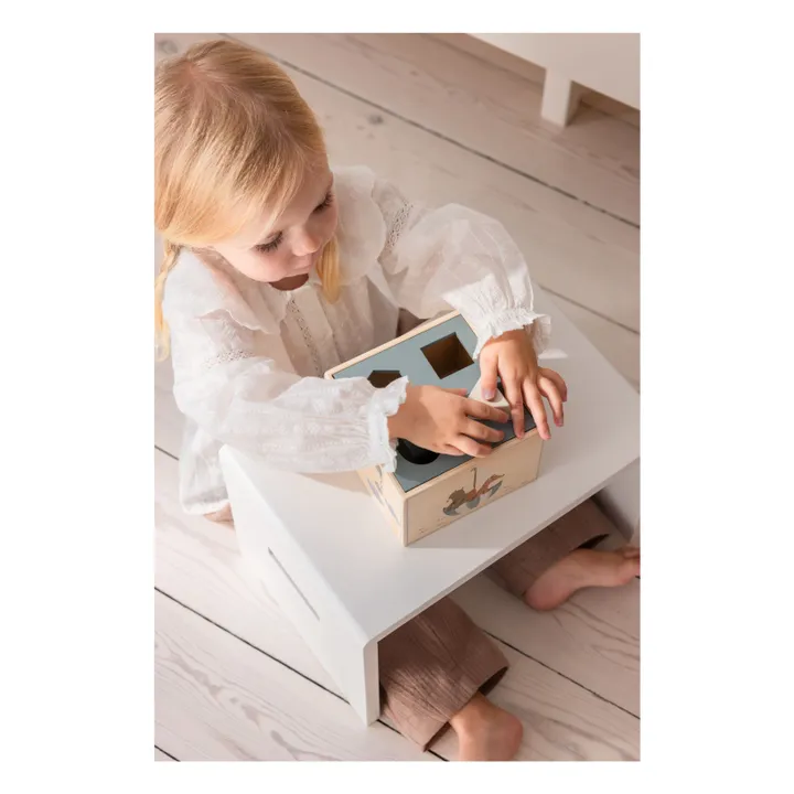 Boite à formes World of Sebra- Image produit n°3