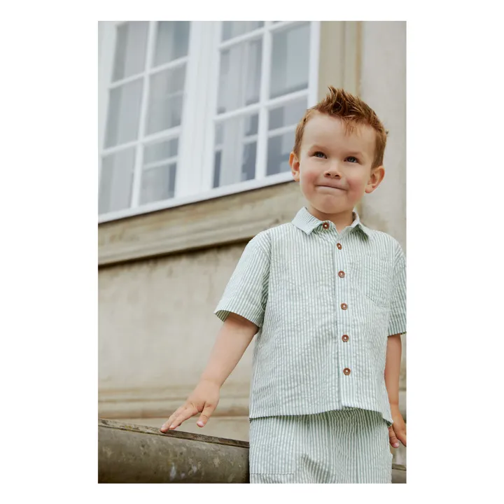 Organic cotton striped shirts | Almond green- Product image n°1