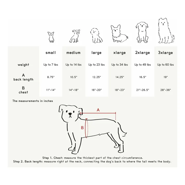 Pull rayé | Vert- Image produit n°7