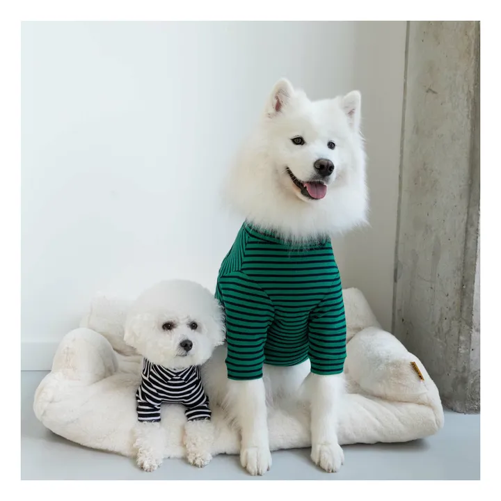 Pull rayé | Vert- Image produit n°1