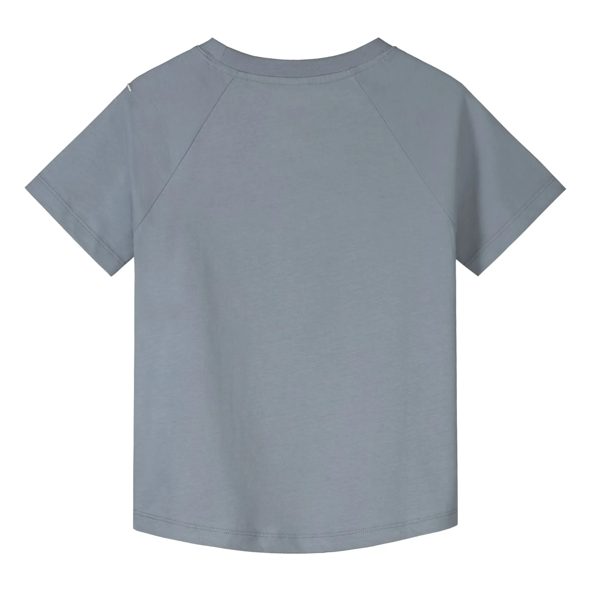 T-shirt Coton Bio | Bleu Glacier- Image produit n°2