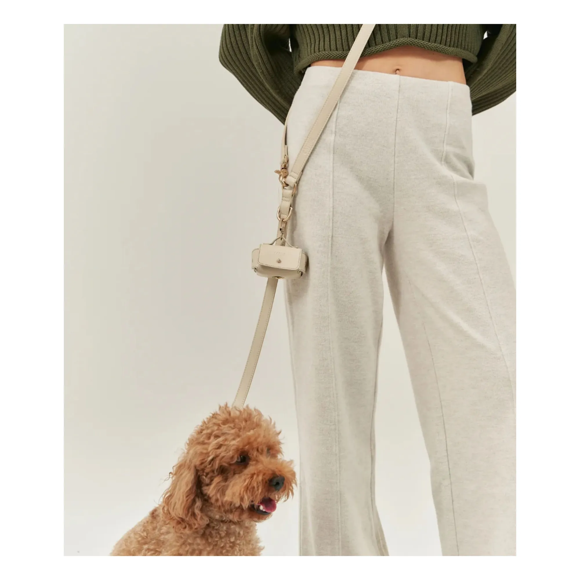 Laisse pour chien 3 positions en cuir vegan | Beige- Image produit n°1