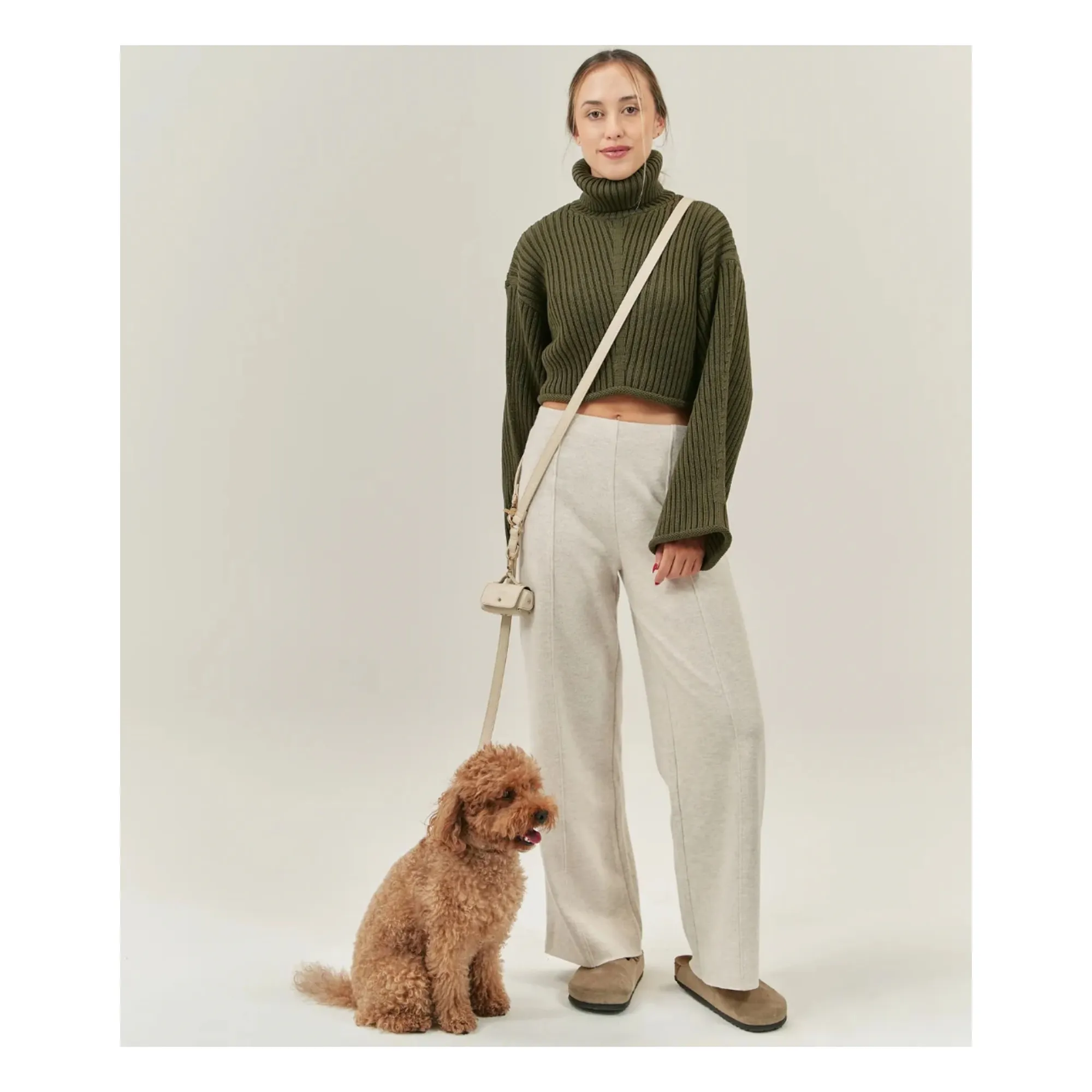 Laisse pour chien 3 positions en cuir vegan | Beige- Image produit n°2