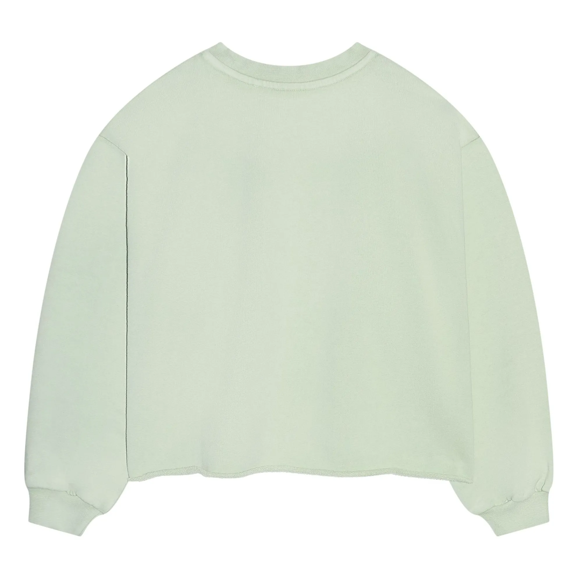 Sweat Belmont Coton Bio | Sauge- Image produit n°3