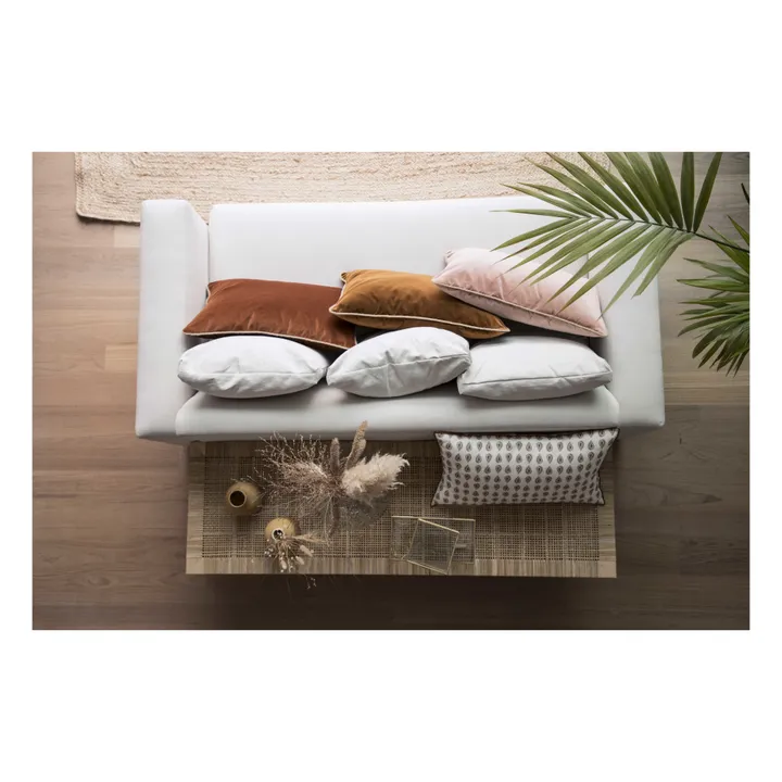 Antigua Velvet Cushion- Product image n°1
