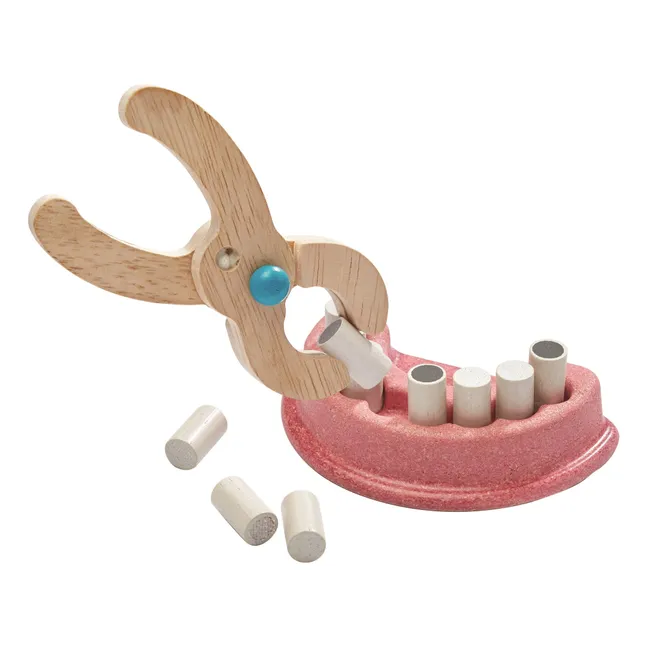Toy Dentist Kit
