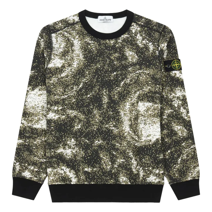 Print Sweatshirt | Grey- Product image n°0
