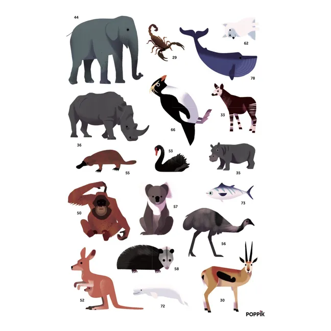 Poster sticker Animaux