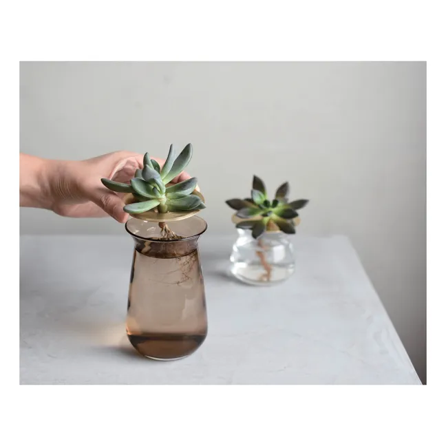 Luna Glass Vase | Transparent