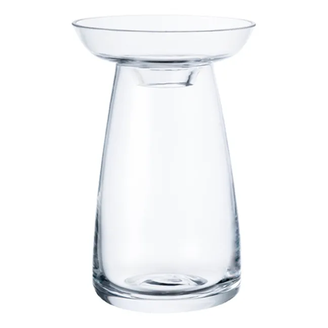 Aquaculture Glass Vase | Transparent