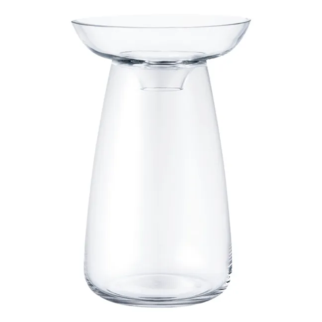 Aquaculture Glass Vase | Transparent