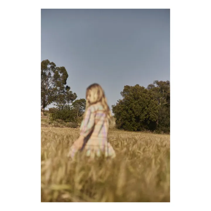 Robe Lavande | Vert- Image produit n°1