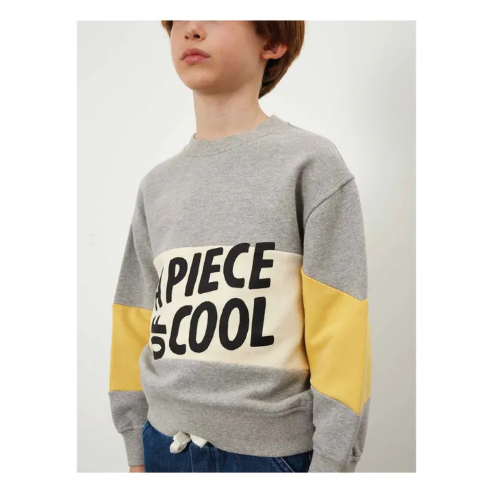 Sweatshirt aus Bio-Baumwolle A Piece Of Cool | Grau Meliert- Produktbild Nr. 1