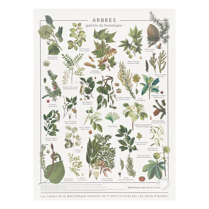 Tablero de árboles- Imagen del producto n°2