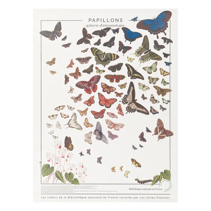 Tavola "I tesori della biblioteca nazionale": Farfalle 60x80cm - Immagine del prodotto n°2