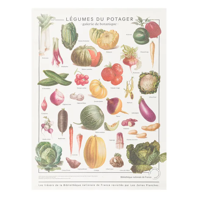 Planche les trésors de la Bibliothèque Nationale Légumes du potager 60x80 cm
