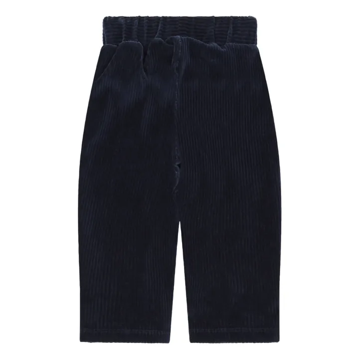 Corduroy trousers | Navy blue- Product image n°1