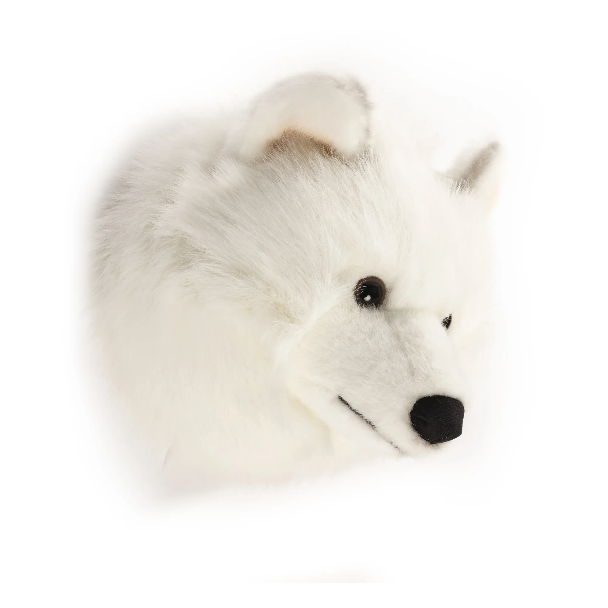Wild & Soft - Trophée Loup Blanc (Wild & Soft) - Image 2