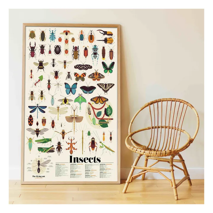 Poster Sticker insetti - Immagine del prodotto n°1