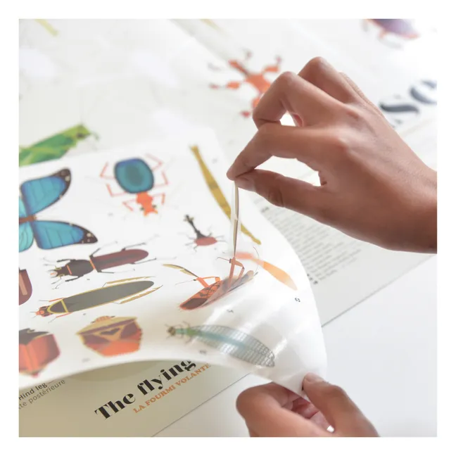 Poster sticker Les Insectes
