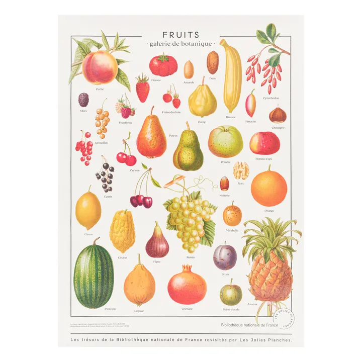Tavola i tesori della Biblioteca Nazionale - Frutti 60x80 cm- Immagine del prodotto n°0