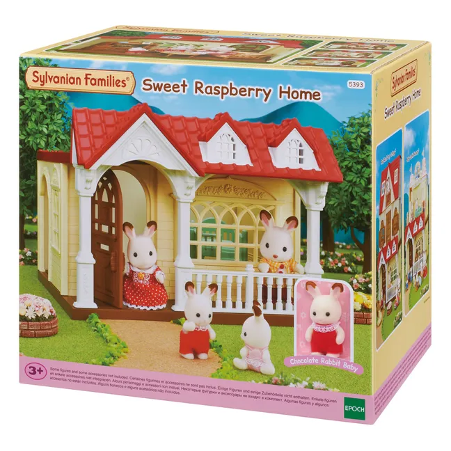Rasberry Toy House