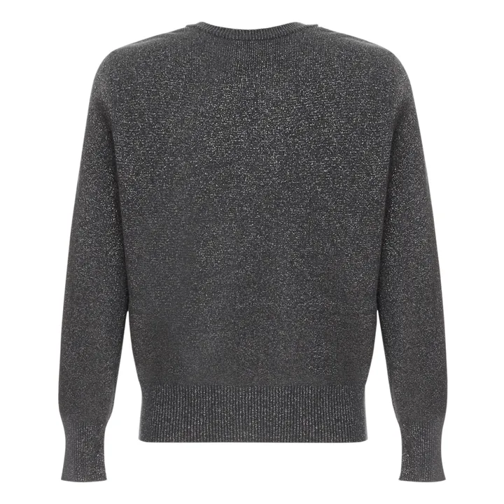 Pull Brillant - Collection Adulte  | Gris anthracite- Image produit n°1