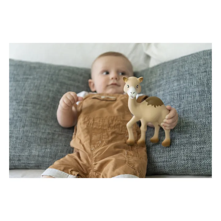 Al'thir le dromadaire- Image produit n°3