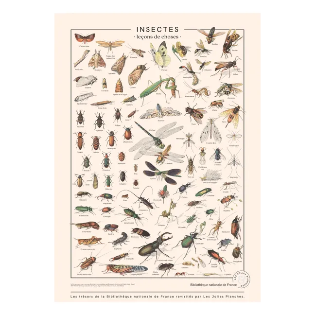 Insect board