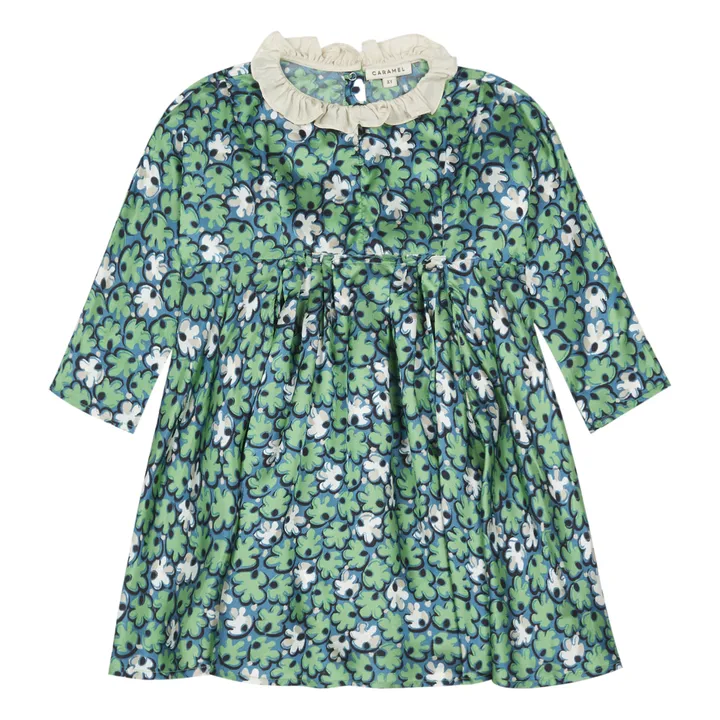 Kleid Puffin | Grün- Produktbild Nr. 0