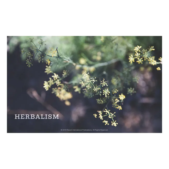 The women's heritage sourcebook : bringing homesteading to everyday life