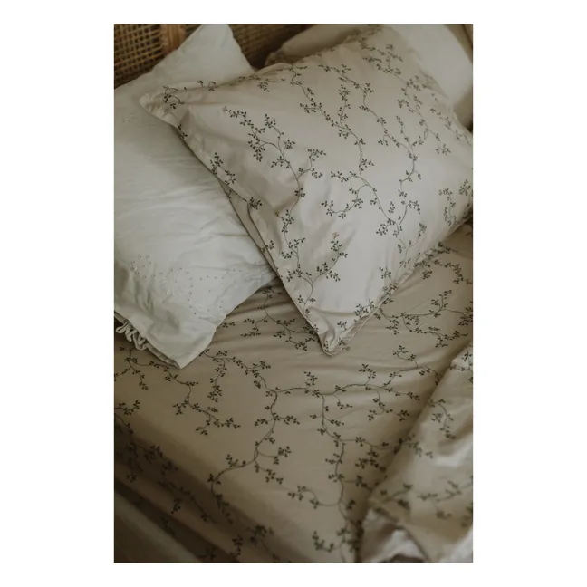 Botany Percale Cotton Fitted Sheet | Green