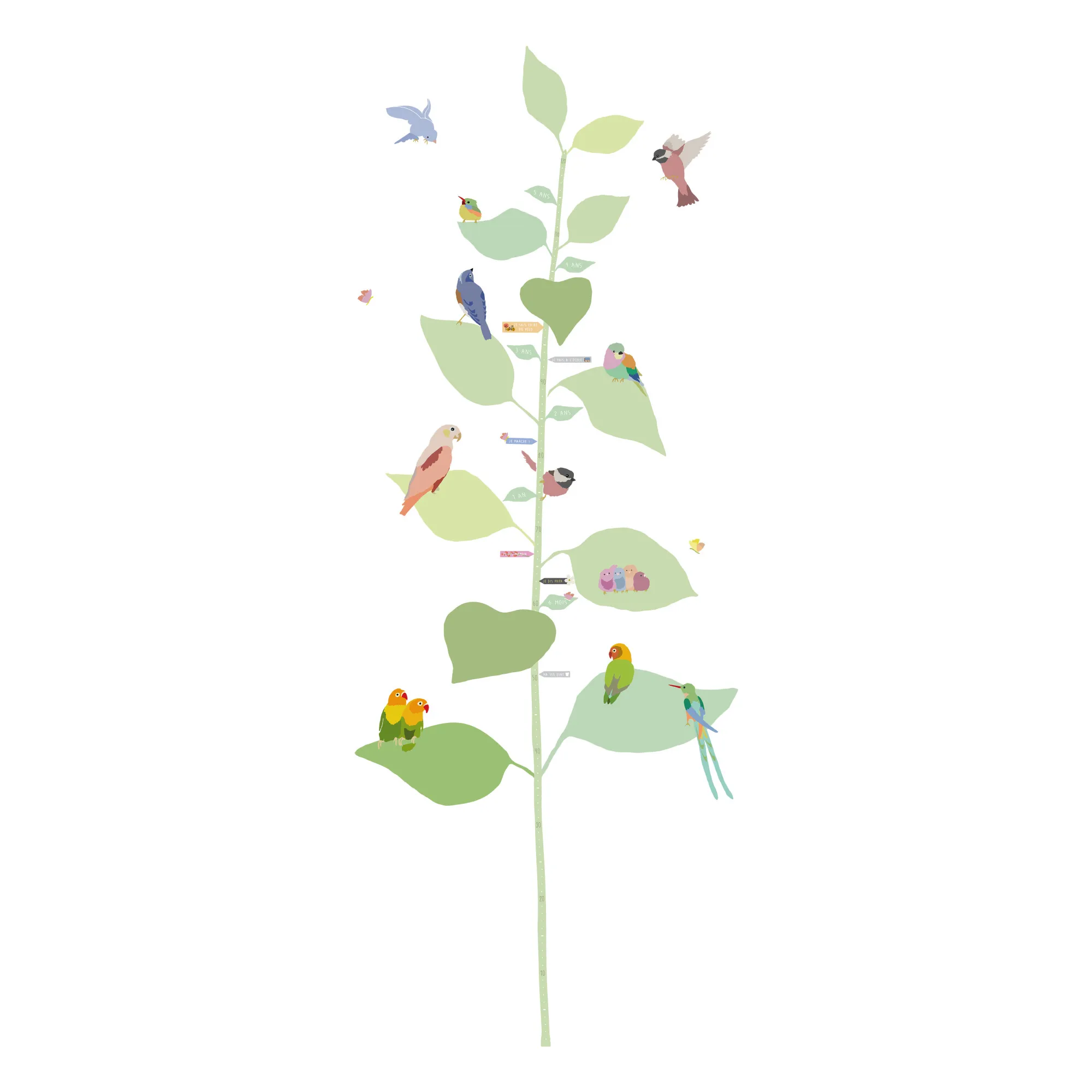Mimi'lou Multicoloured With The Birds Height Growth Chart - Fr