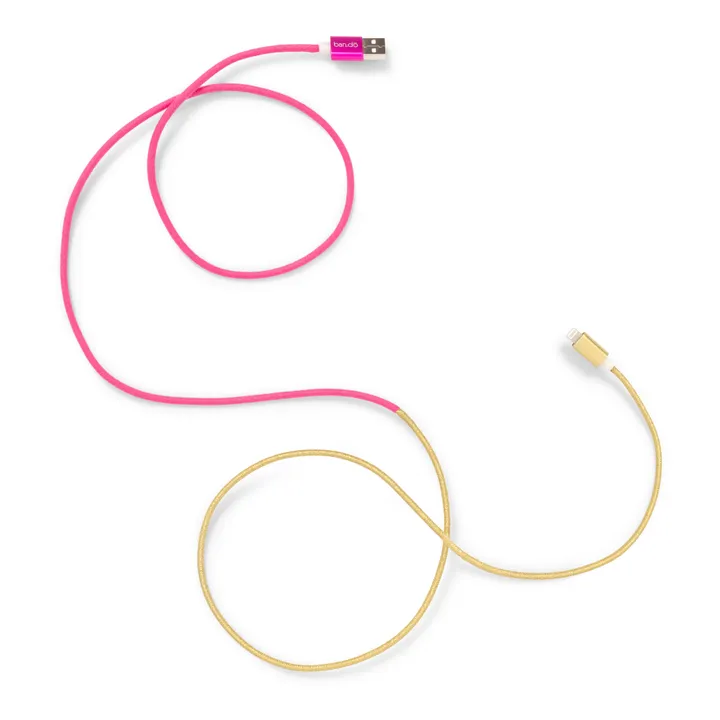 iPhone and iPad Charging Cable- Product image n°1