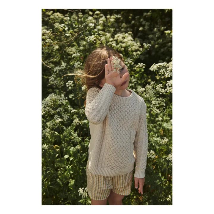 Pullover aus Bio-Baumwolle | Seidenfarben- Produktbild Nr. 1