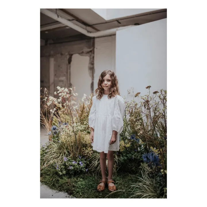 English Embroidery Dress | White- Product image n°3