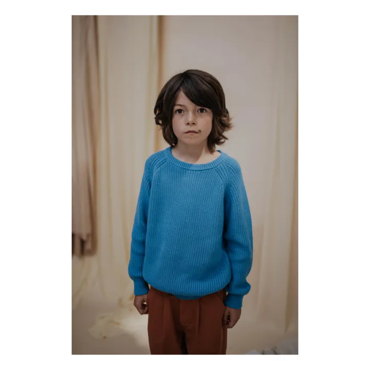 Pullover | Blau- Produktbild Nr. 3