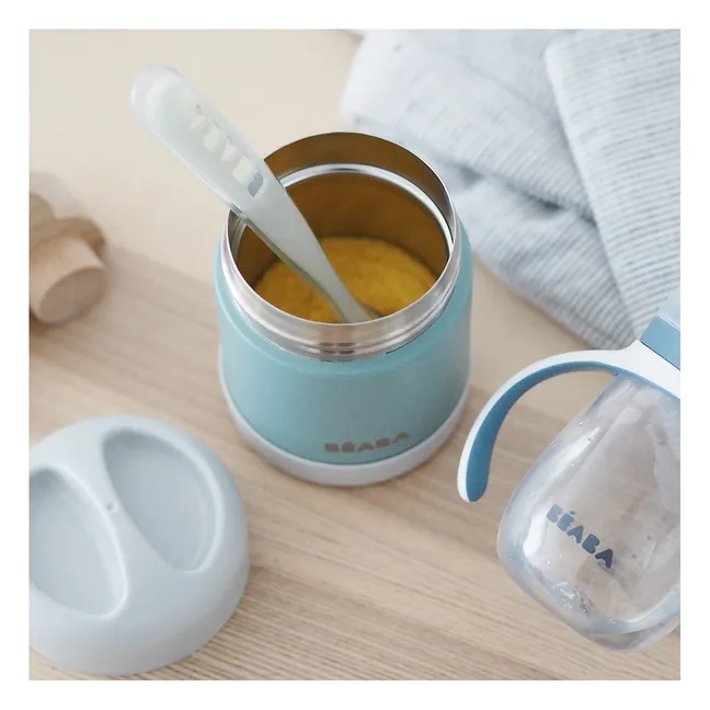 Insulated Stainless Steel Food Storage Container - 300 ml | Green