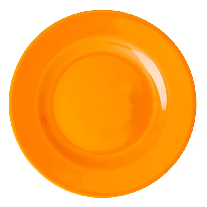 Teller | Orange- Produktbild Nr. 0